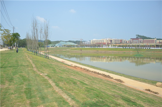 瓷都再增一顆璀璨“明珠”,景南風光更添風情