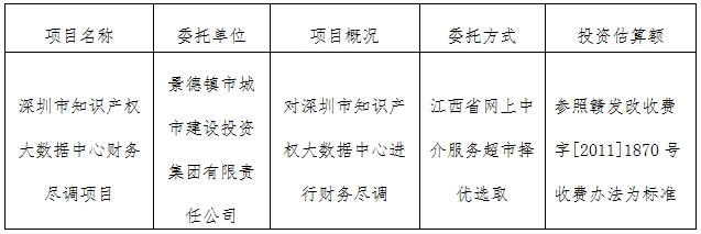 深圳市知識(shí)產(chǎn)權(quán)大數(shù)據(jù)中心財(cái)務(wù)盡調(diào)項(xiàng)目計(jì)劃公告