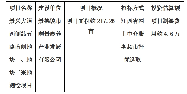 景興大道西側緯五路南側地塊一、地塊二宗地