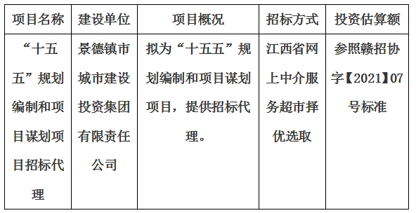 “十五五”規(guī)劃編制和項目謀劃項目招標(biāo)代理計劃公告