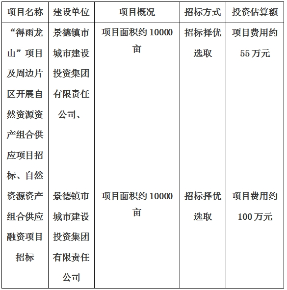 景德鎮市“得雨龍山”項目及周邊片區開展自然資源資產組合供應項目、自然資源資產組合供應融資項目招標計劃公告
