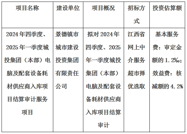 2024年四季度、2025年一季度城投集團(tuán)（本部）電腦及配套設(shè)備耗材供應(yīng)商入庫項目結(jié)算審計服務(wù)項目計劃公告